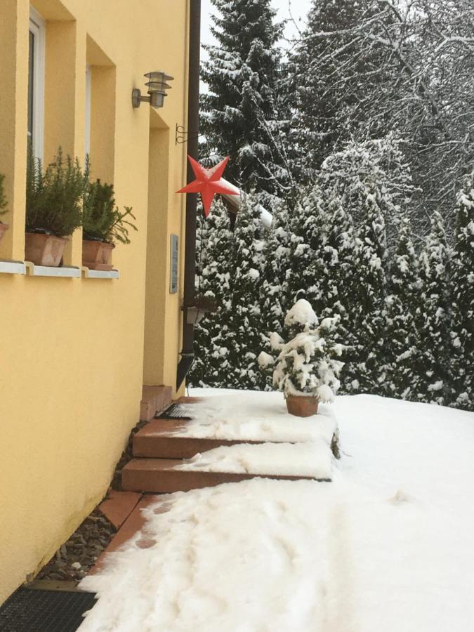 フロイデンシュタットSchwarzwald Lightアパートメント エクステリア 写真